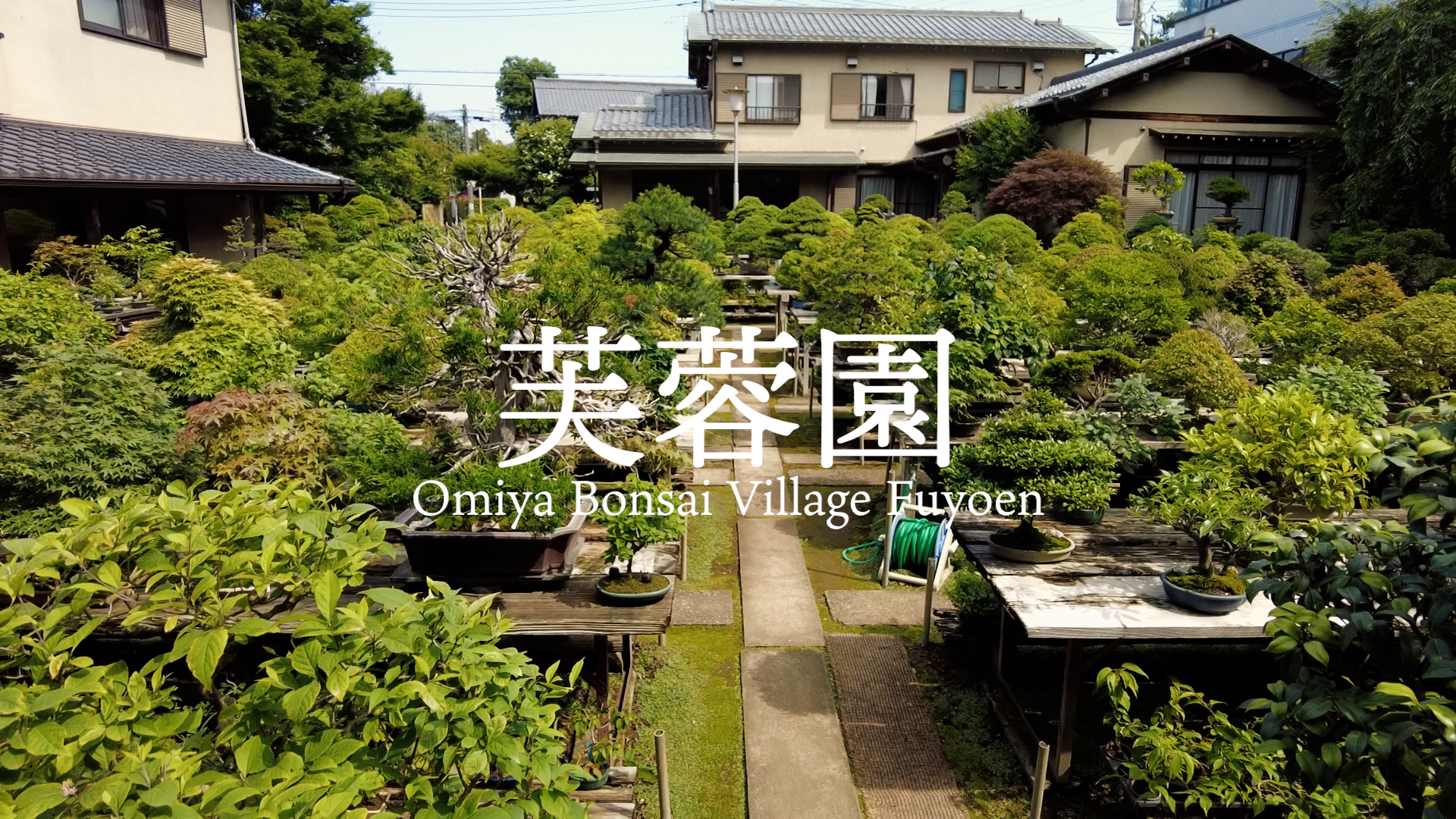 雑木盆栽大観 竹山房造 芙蓉園】雑木と寄植えの第一人者！四季を楽しめる盆栽園の紹介 – 盆栽Q
