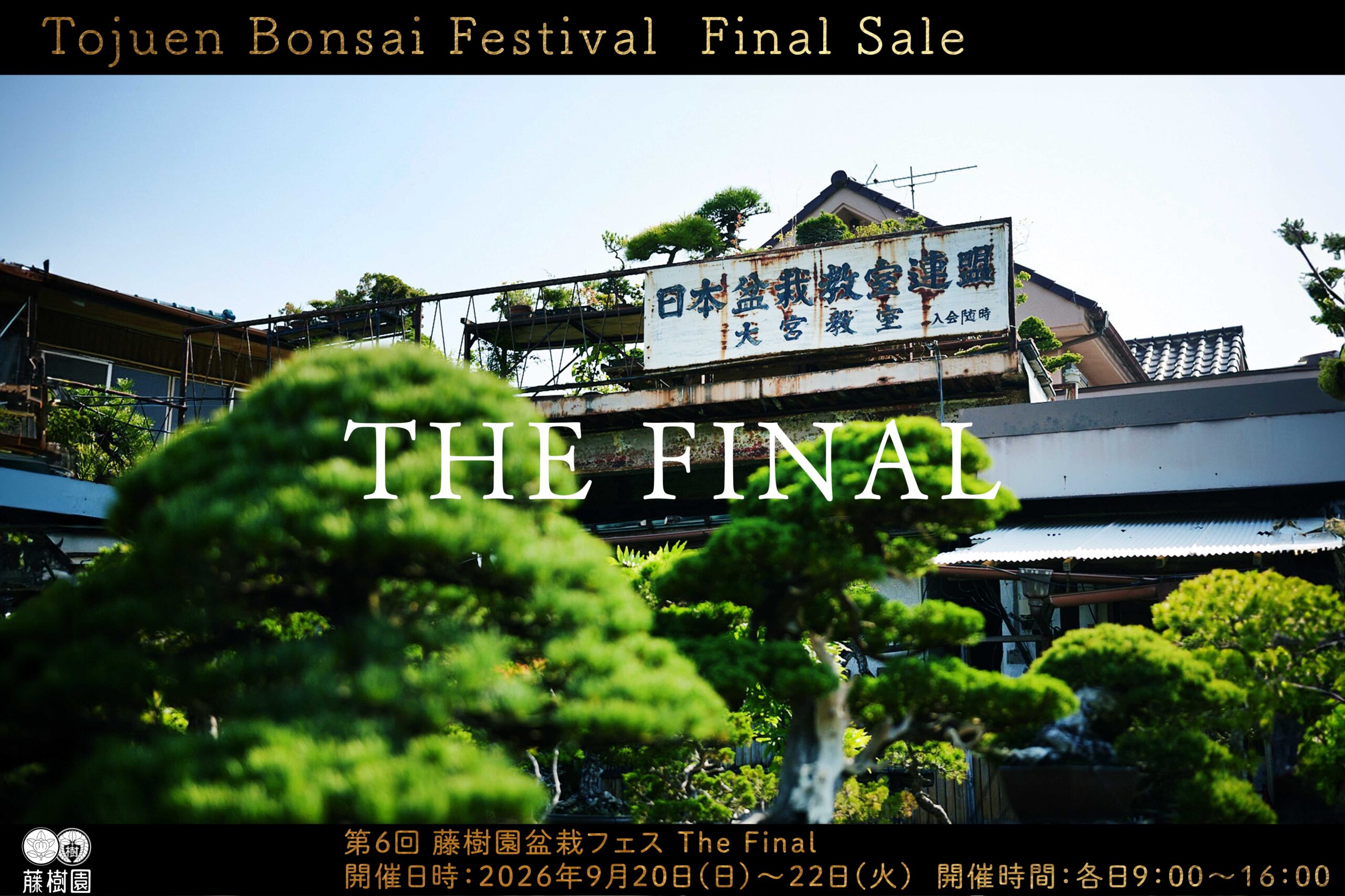 2026年】第6回藤樹園盆栽フェスThe Finalのお知らせ – 盆栽Q